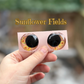 Sunflower Fields Eyes