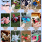 Biscuit the Axolotl PDF
