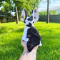 Milk & Honey Bat (ready to ship)