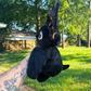 Bat Plushie ready to ship