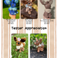 Fluffy Fox PDF