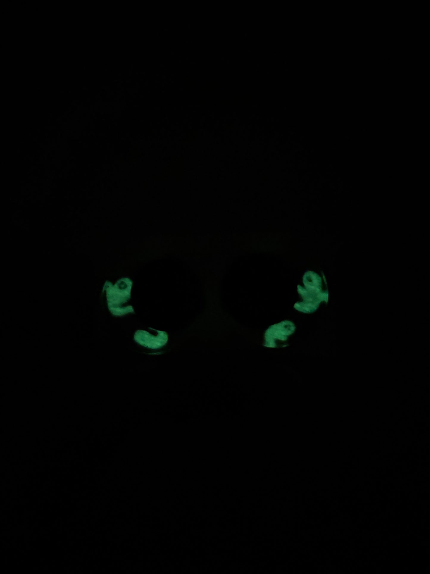 Glow-in-the-Dark Ghosties