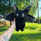 Bat Plushie ready to ship
