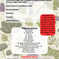 Kinoko the Mushroom Cat PDF