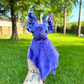 Ready to Ship Bat Plushies!!