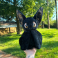 Bat Plushie ready to ship