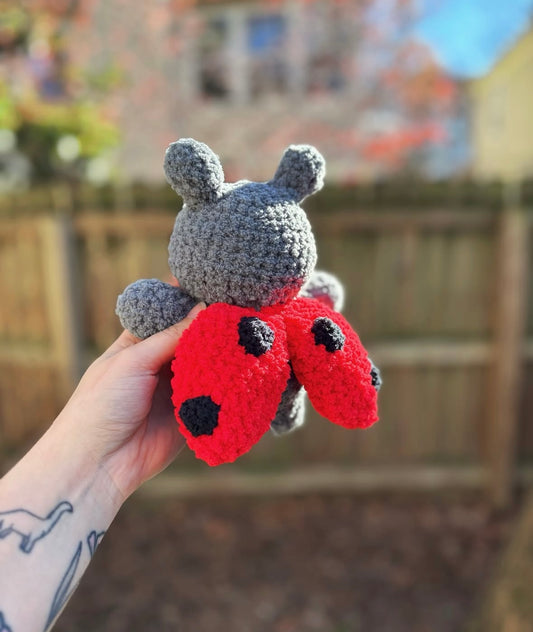 Lady bug