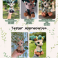 Grass Fox PDF