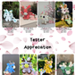 Ayanna the Sakura Dragon PDF