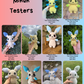 Plusle and Minun PDF