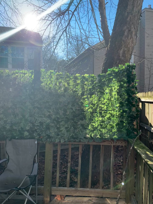 Fairy Butterflies eyes