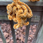 Golden Dragon